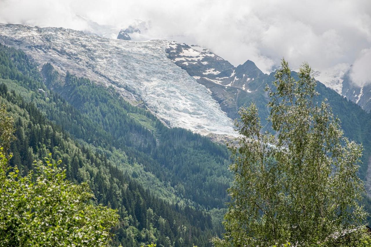 Au Coeur Du Glacier 霞慕尼 外观 照片